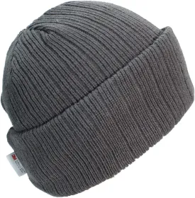 3M 40 Gram Thinsulate Insulated Cuffed Knit Beanie (One Size)