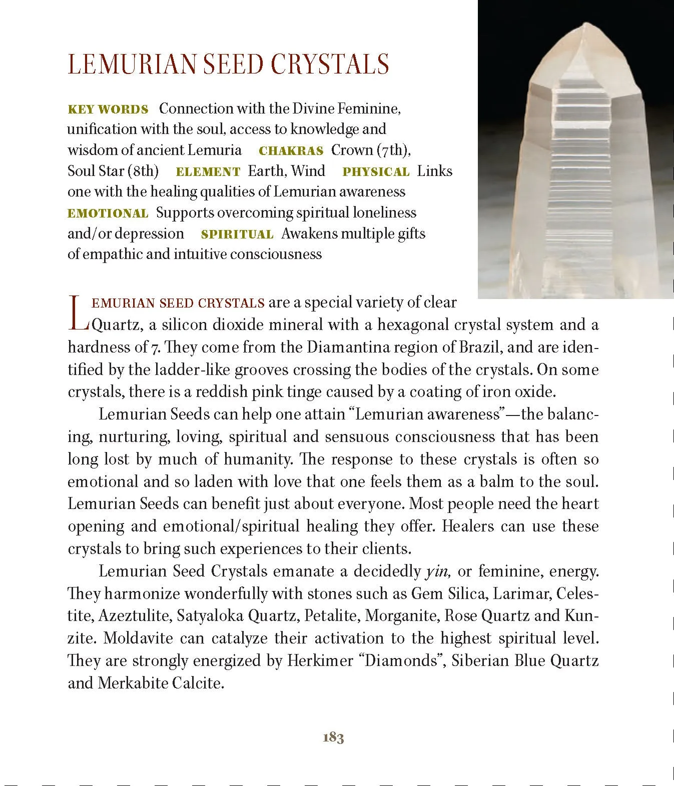 Colombian Lemurian Seed Green Tourmaline Tantric Twin Record Keeper Crystal Pendant